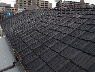 ブログタイトル